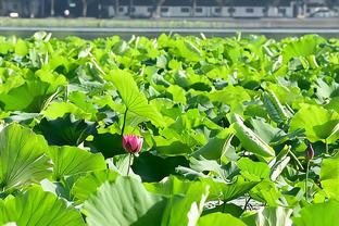 港媒：两名重病儿童实现愿望见到梅西，并获赠亲笔签名